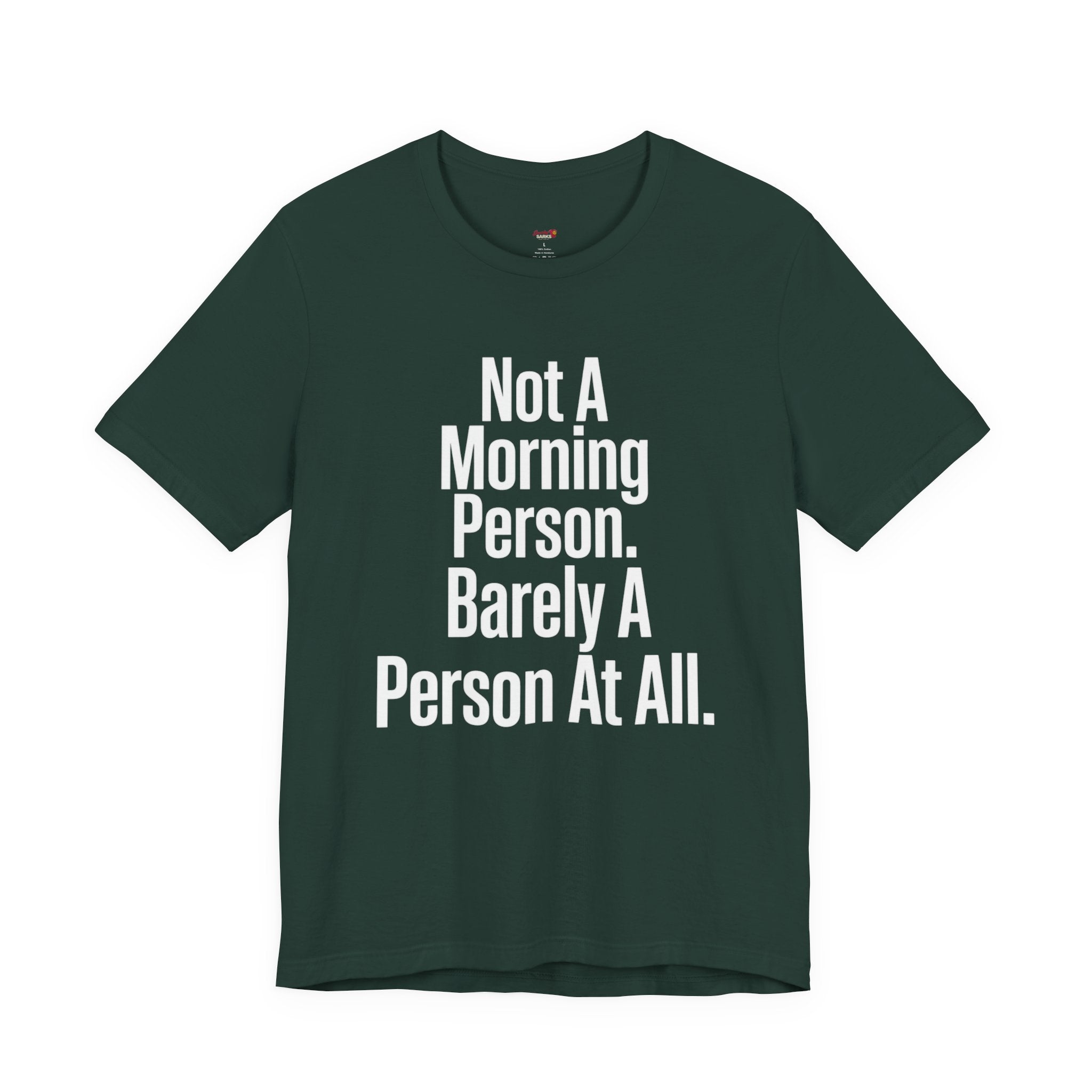 Not a Morning Person or a Person at All T-Shirt