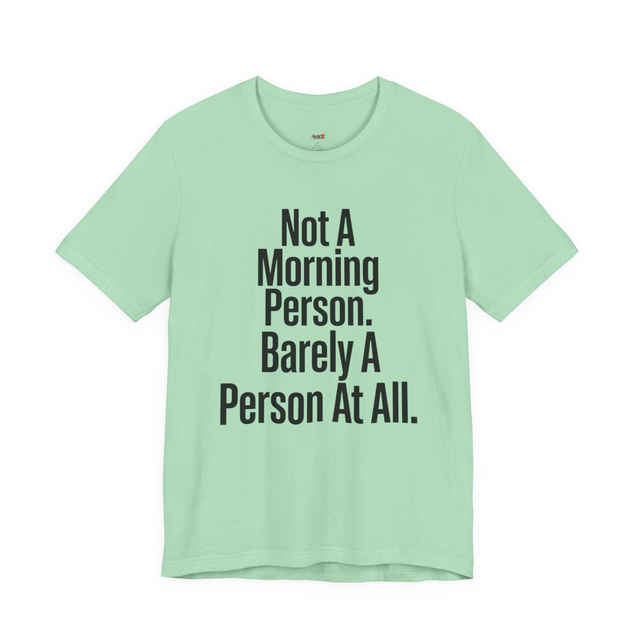 Not a Morning Person or a Person at All T-Shirt