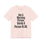 Not a Morning Person or a Person at All T-Shirt