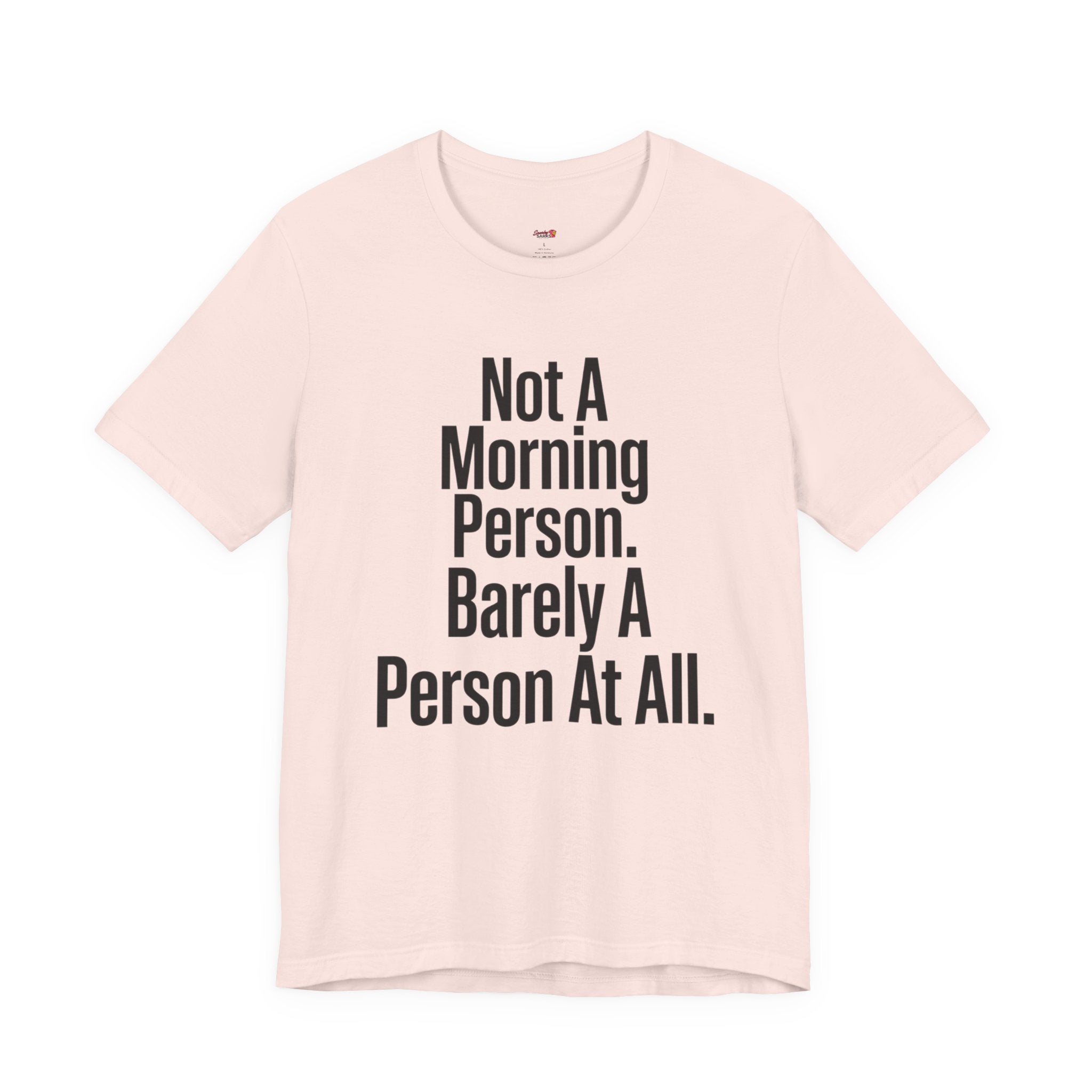 Not a Morning Person or a Person at All T-Shirt