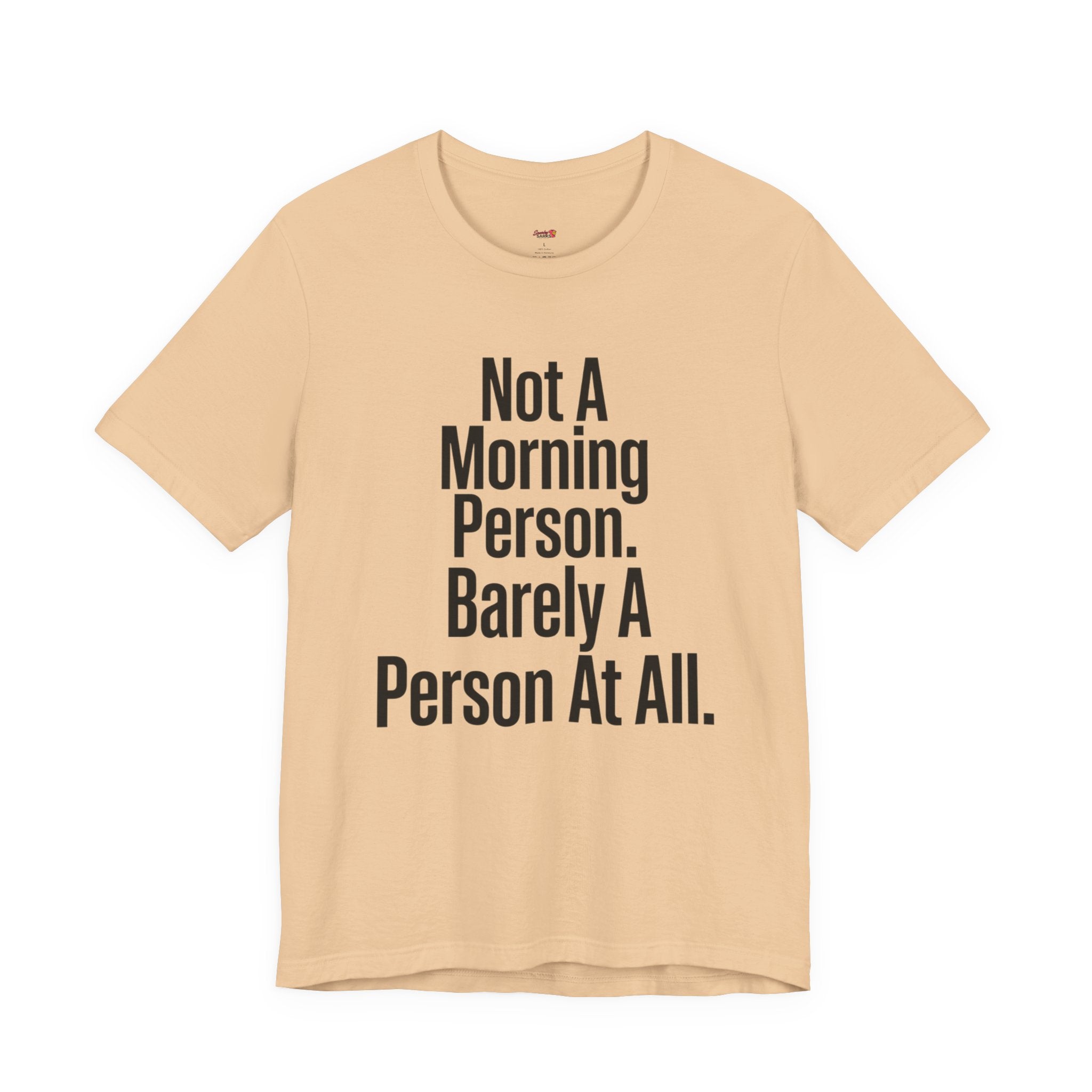 Not a Morning Person or a Person at All T-Shirt