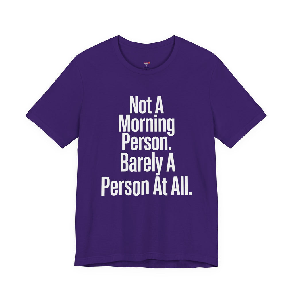 Not a Morning Person or a Person at All T-Shirt