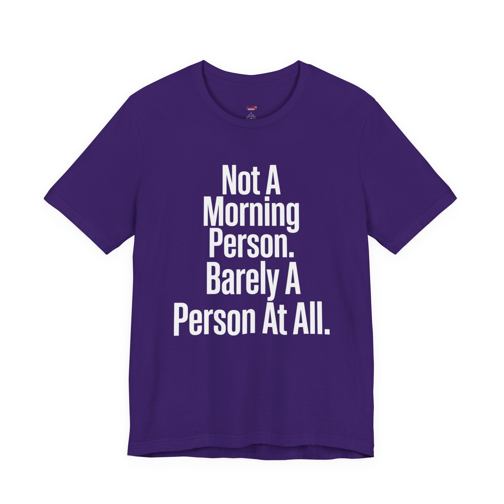 Not a Morning Person or a Person at All T-Shirt