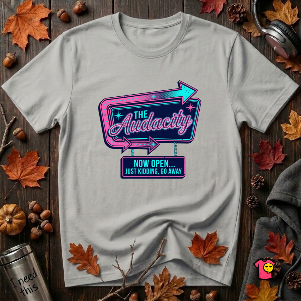 The Audacity...Now Open sarcastic graphic t-shirt in Silver by Snarky Sarks