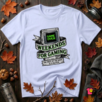 Weekends for Gaming sarcastic gaming t-shirt in Ash by Snarky Sarks